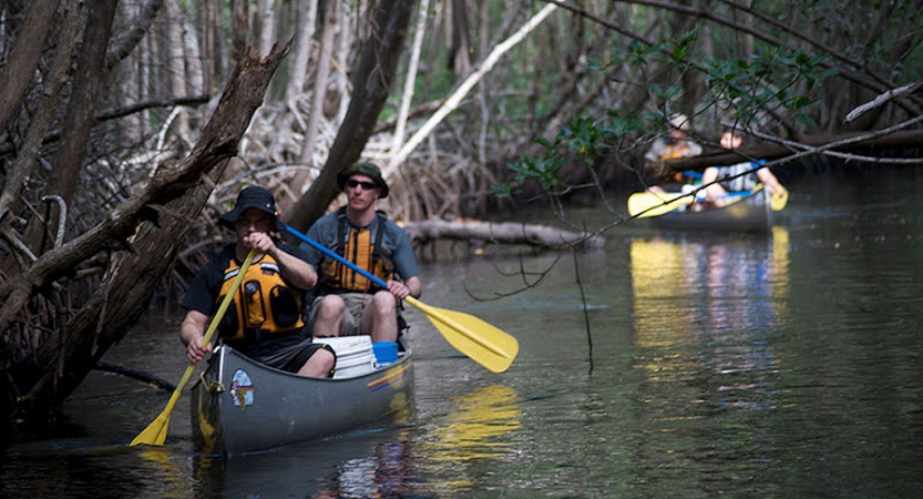 A group of people paddle canoes through a thick wooded area on an outward bound expedition.