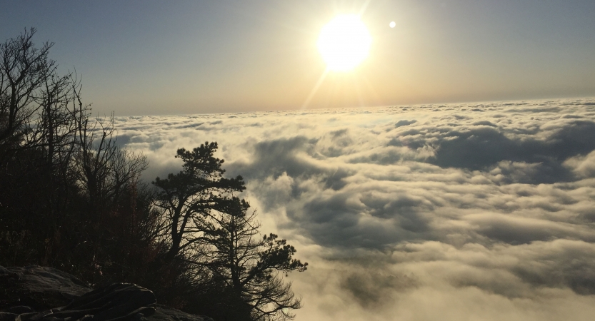 From a high elevation, clouds hide the ground as the sun rises above them.
