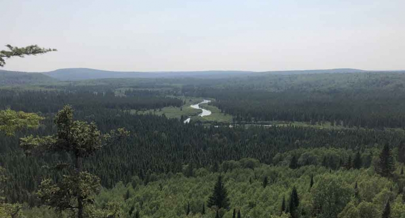 from a high vantage point a river winds through a forest of green trees