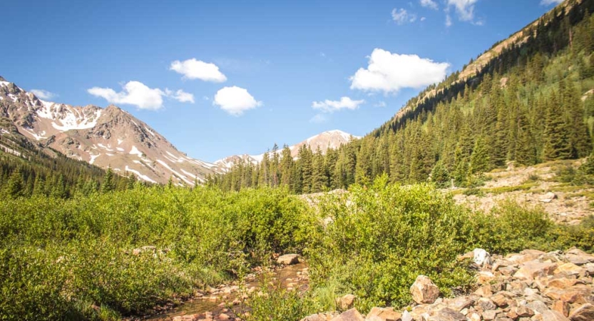 A valley filled with green shrubs and trees is framed by rock mountains. 