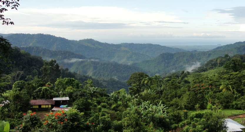 A tree-covered mountain environment stretches into the distance. 